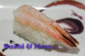 Amaebi nigiri