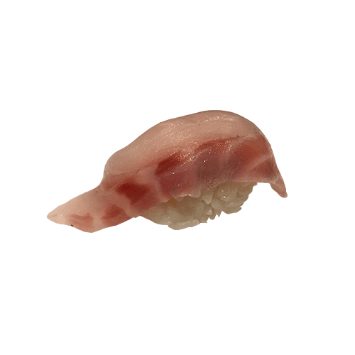Suzuki nigiri