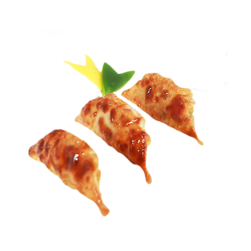 Vegan Gyoza