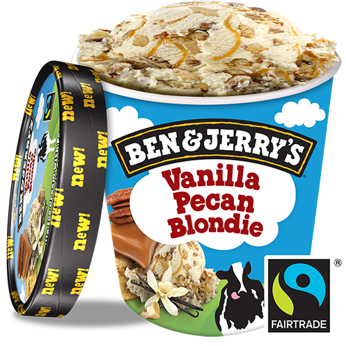 Vanilla Pecan Blondie 500 ml