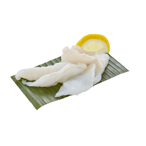 Sashimi zeeduivel