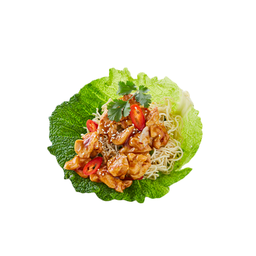 Kip teriyaki met woknoodles