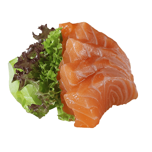 Sake sashimi