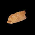 Inari nigiri