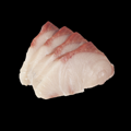 Hamachi sushimi