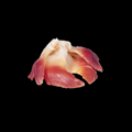 Hokkigai sushimi