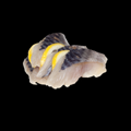 Saba sushimi