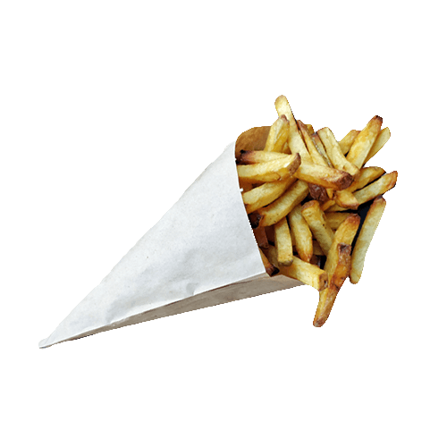 Ambachtelijke friet