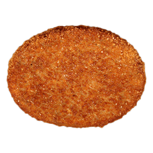 Nasischijf