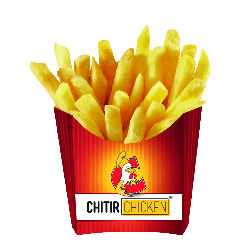 Large fries