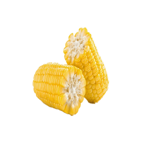 Maiskolf