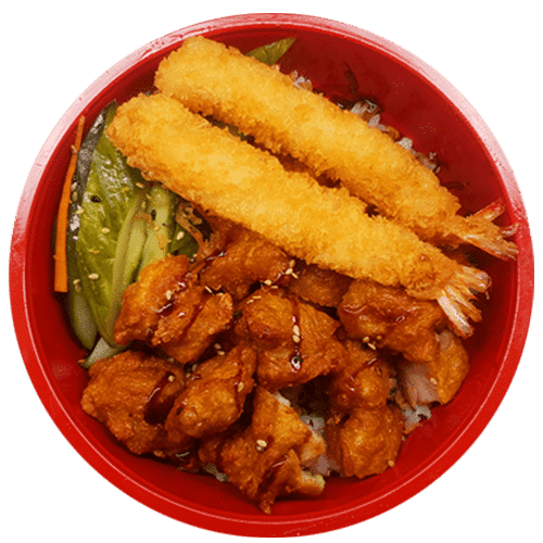 Japanese fried chicken & tempura don