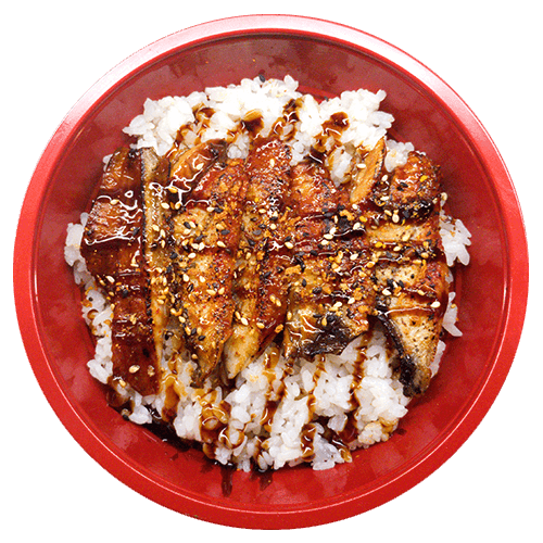 Traditional Unagi don