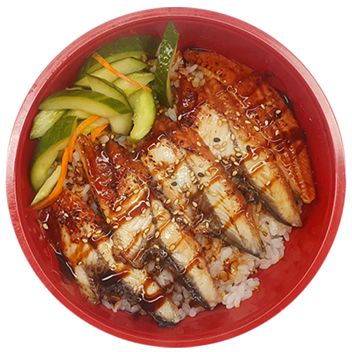 Traditional Unagi don