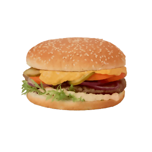 Indian burger