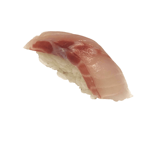 Nigiri suzuki