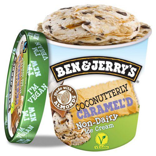 Ben & Jerry's Non-Dairy Coconutterly Caramel'd (500ml)
