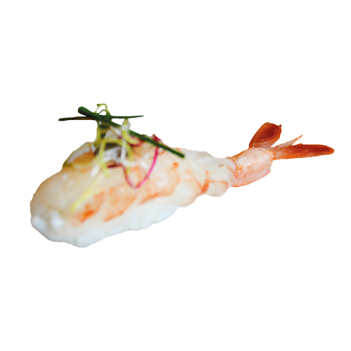 Ebi nigiri U