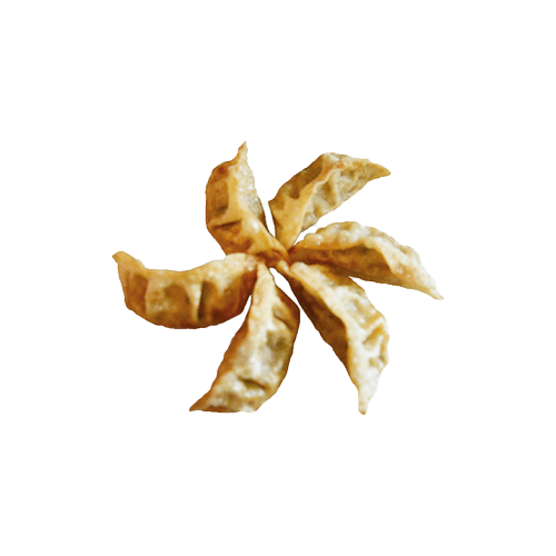 Gyoza