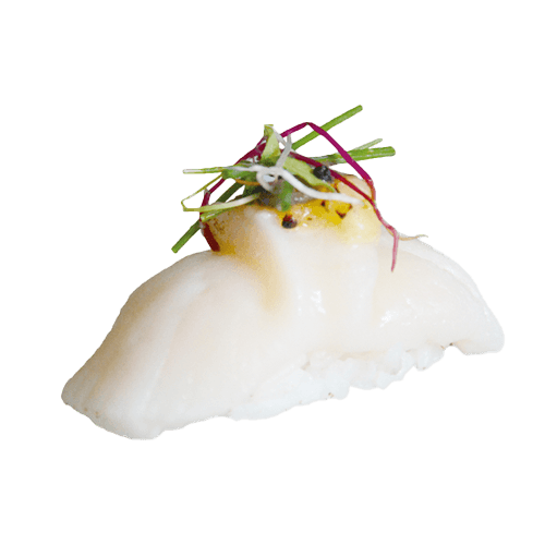 Hotategai nigiri