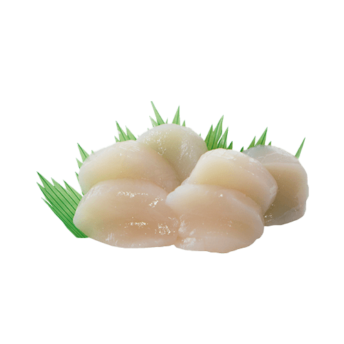 Hotategai sashimi