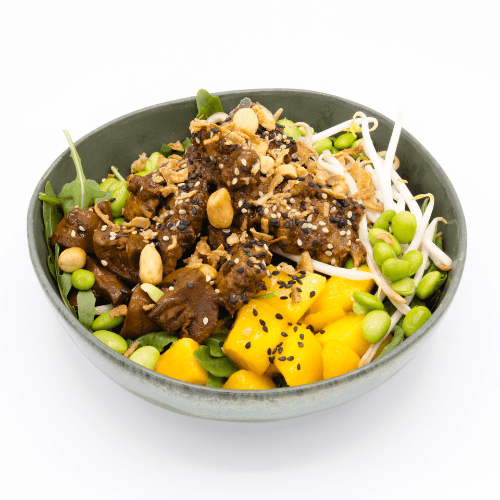 Tokyo teriyaki bowl