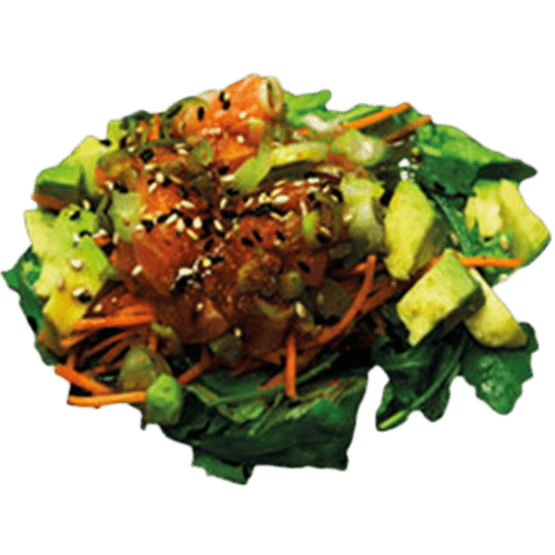 Sashimi salmon salad