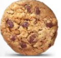 Chocolate Chip
