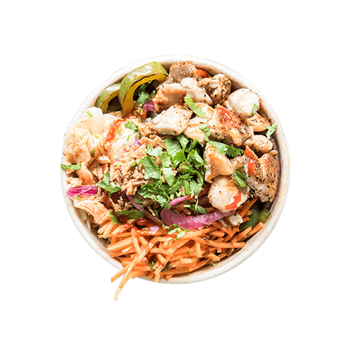 Bowl large Asian chicken