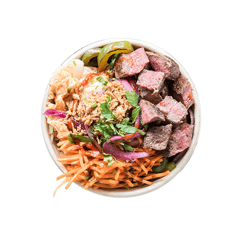 Bowl large Asian steak