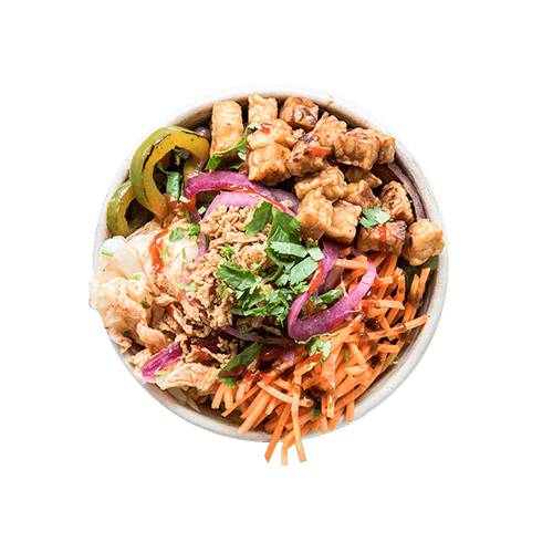 Bowl large Asian tempeh (vega)