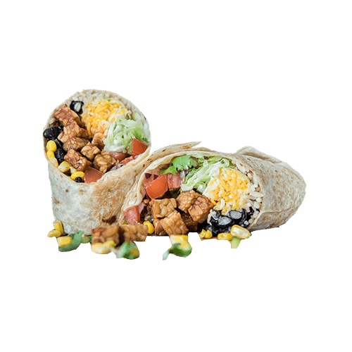 Roll large Latin tempeh (vega)