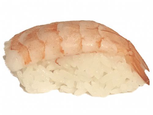 Nigiri ebi