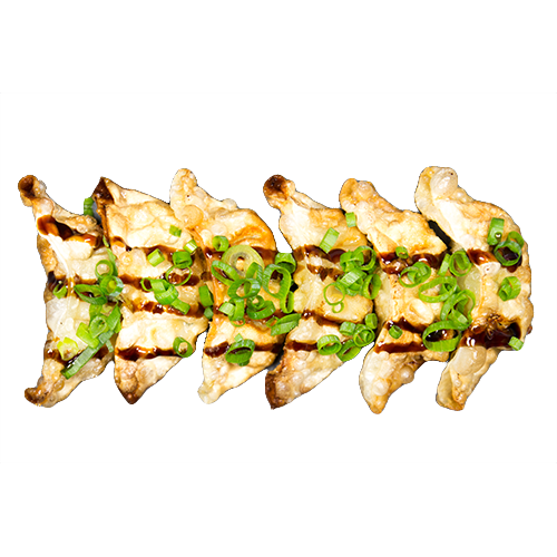 Gyoza kip