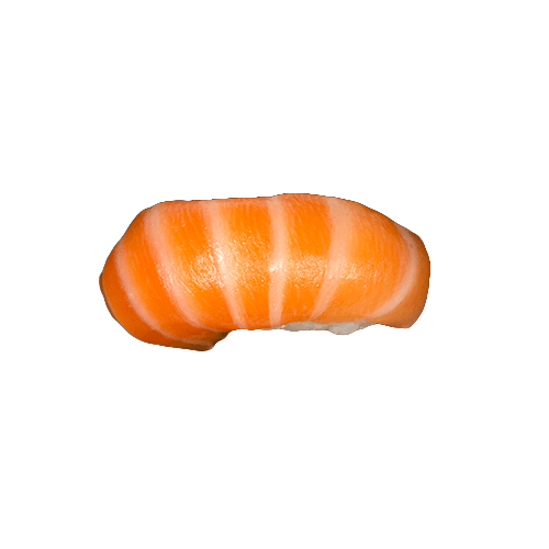 Sake nigiri