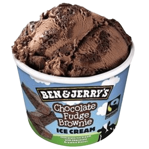 Ben & Jerry's Chocolate Fudge Brownie