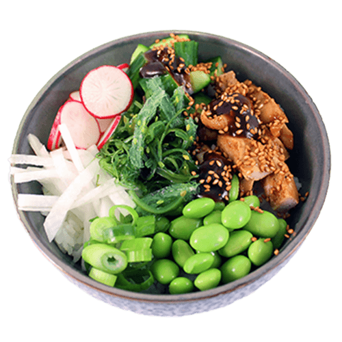 Chicken teriyaki bowl