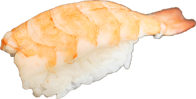 Ebi nigiri