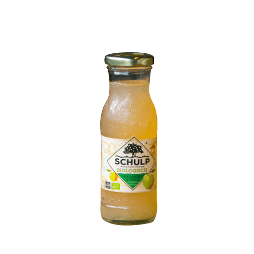Schulp