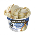 Greek Style Frozen Yogurt Vanilla Honey Caramel