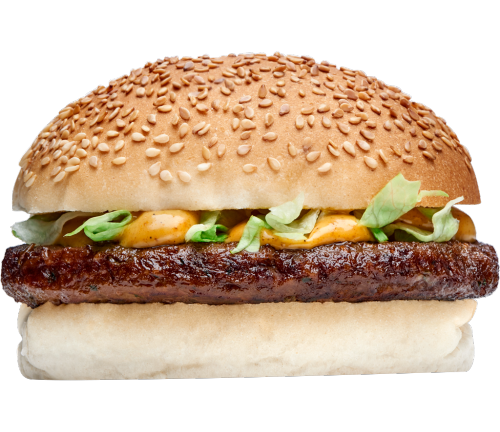Shoarma burger