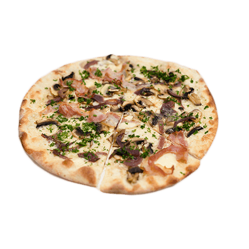 Lets go funghi