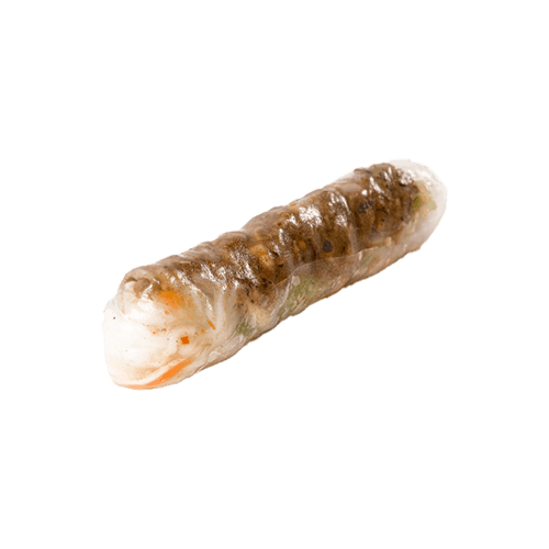 Bief lenterol