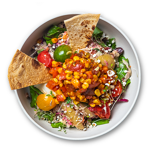 Salsa protein bowl