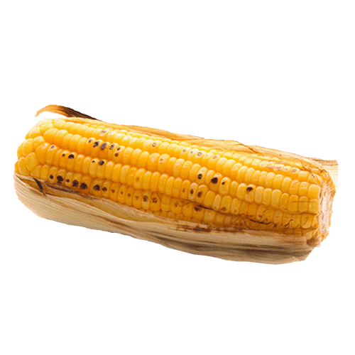 Maiskolf