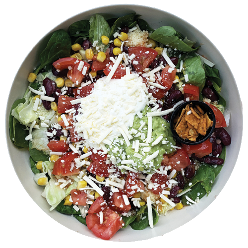 Nacho chili bowl