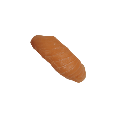 Sake nigiri