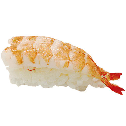 Nigiri ebi
