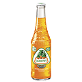 Jarritos Mango