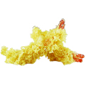Ebi tempura